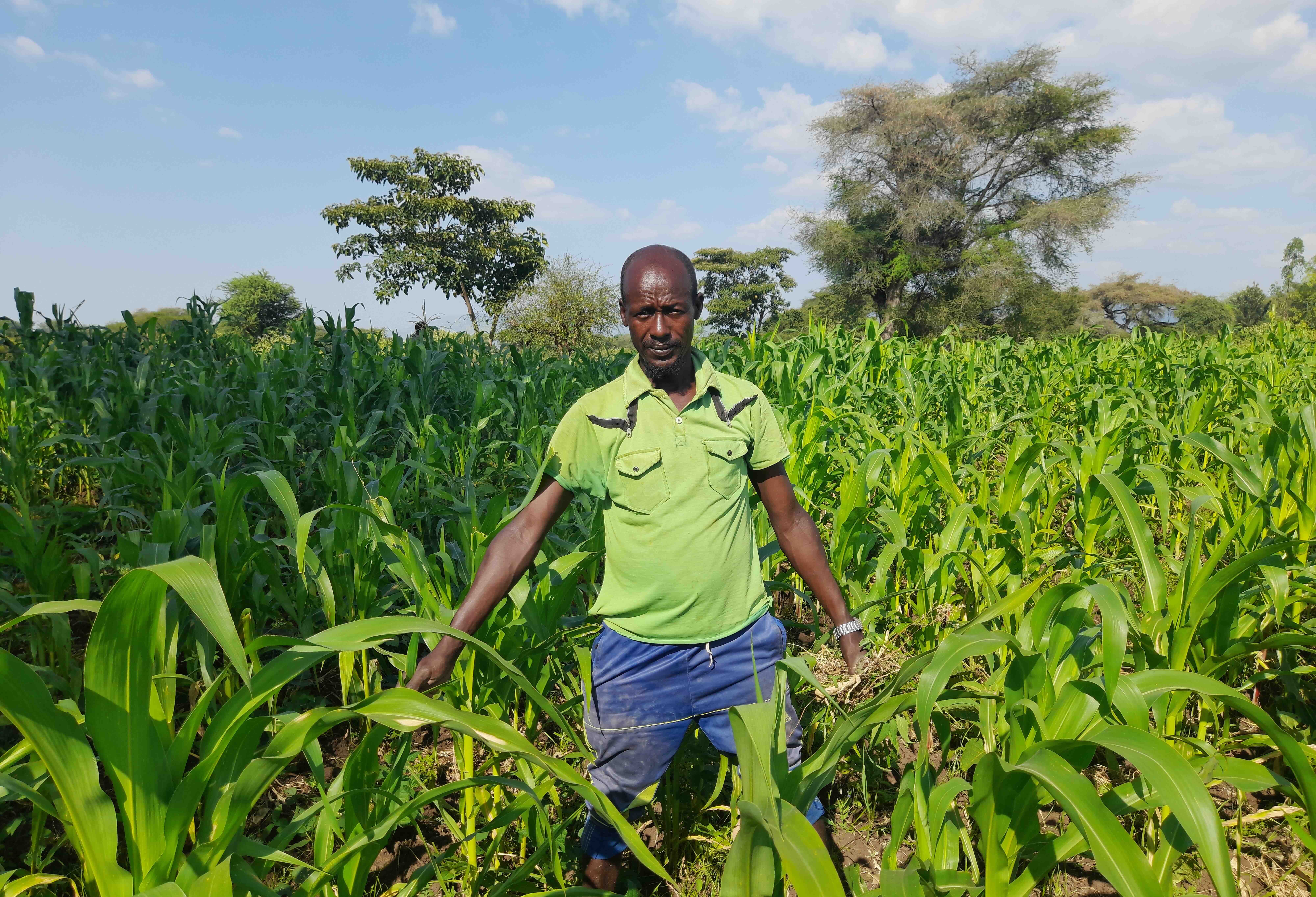 Agriculture