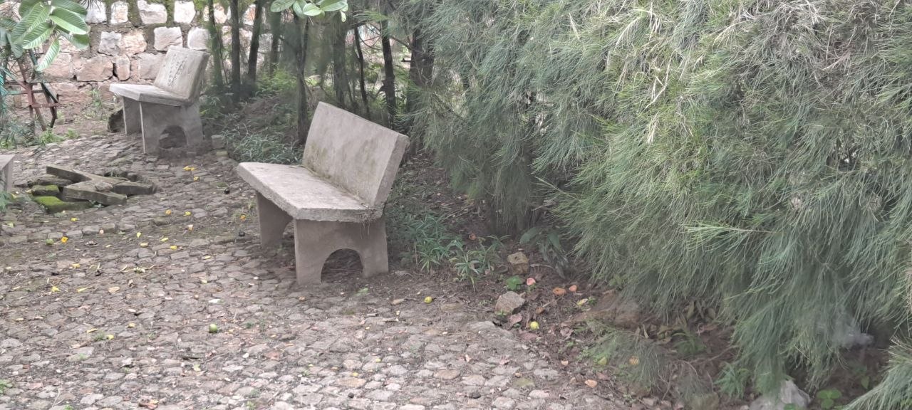 የኮንክሪት ወንበሮች